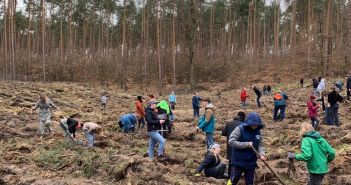 Erfolgreiche Baumpflanzaktion stärkt Klimafunktion und (Foto: Stadt Brandenburg)